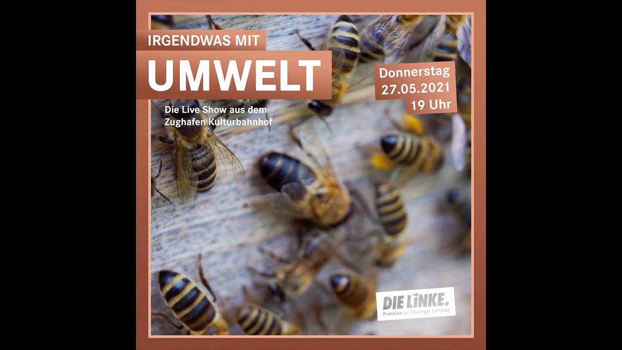 Irgendwas mit Umwelt – Tag Der Bienen